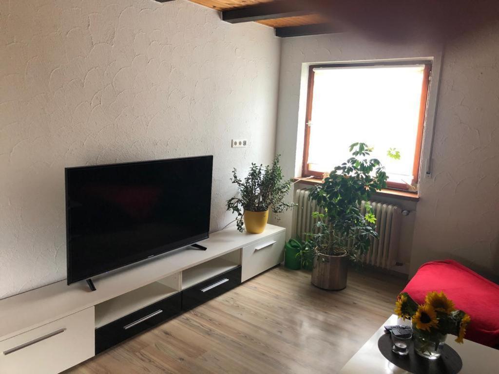 Ferienwohnung Zur Sonnenterasse In Gersbach Schopfheim Kültér fotó