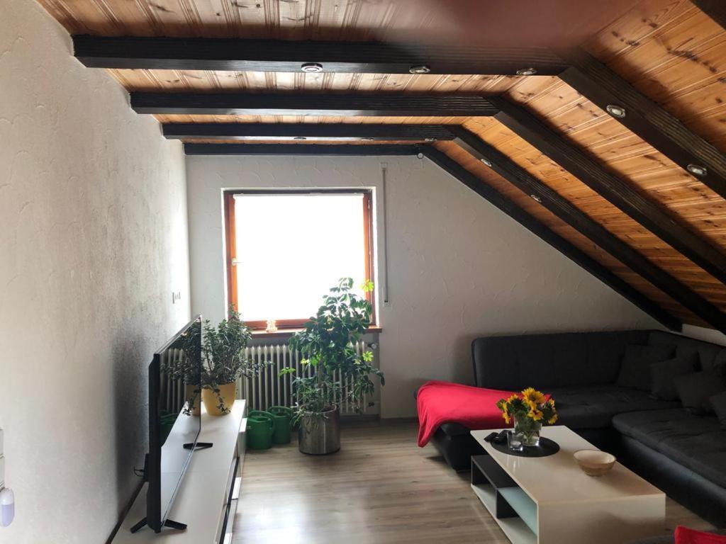 Ferienwohnung Zur Sonnenterasse In Gersbach Schopfheim Kültér fotó